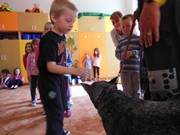 Bezpečný pes - kynologie